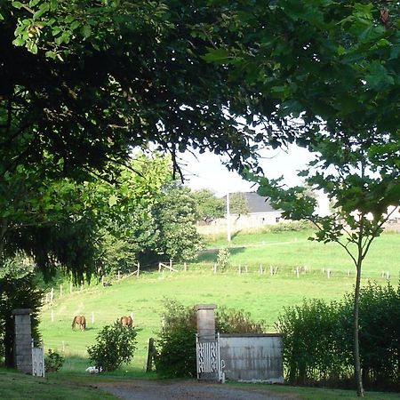 Furnished Bungalow In Monceau En Ardenne With Garden Barbecue Oizy Εξωτερικό φωτογραφία